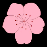 樱花视频免费版APP应用