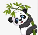 天天美丽视频APP应用